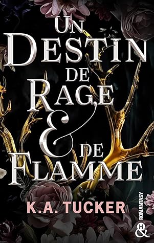 Portada de Un destin de rage & de flamme