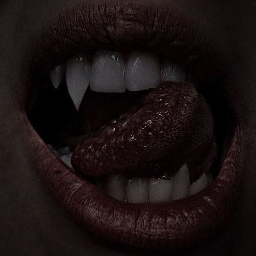 ¿Cómo escribir un libro de vampiros? — imagen